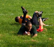 OTFL Gallery Image